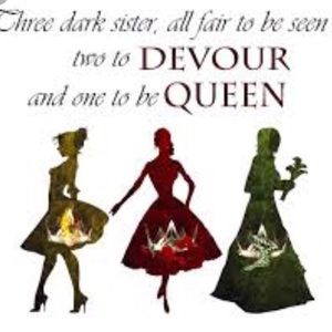 Meet your Posher, Audrey